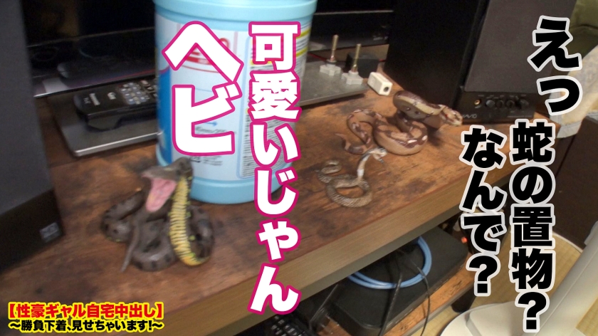 video digest image